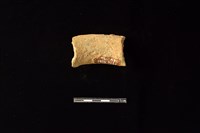 陶罐藏品圖，第2張